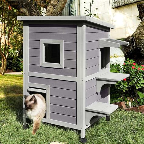 amazon cat house|Amazon.ca: Outdoor Cat House.